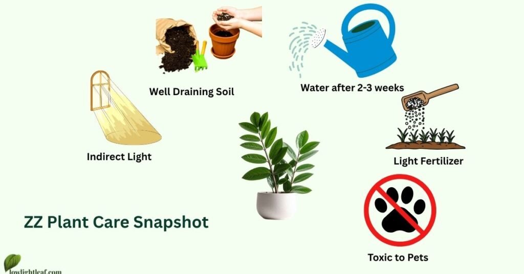 ZZ plant care snapshot showing indirect light, well-draining soil, watering every 2–3 weeks, light fertilizer, and pet toxicity warnings.