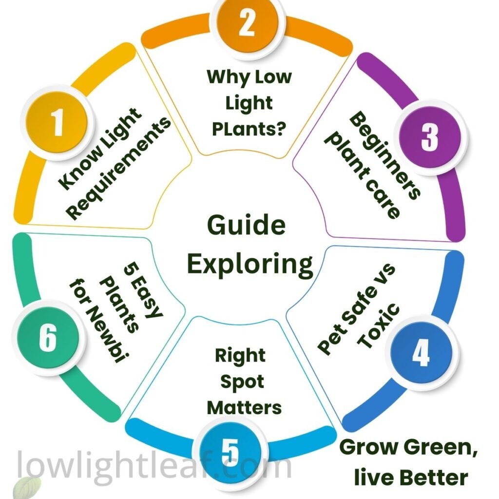 Low-light indoor plants care guide infographic showing table of contents with sections on light requirements, beginner plant care, pet-safe vs toxic plants, best plant placement, and easy low-light plants for beginners.