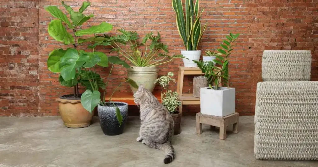 Cat sitting near indoor plants including a snake plant, highlighting pet safety concerns for snake plant owners.