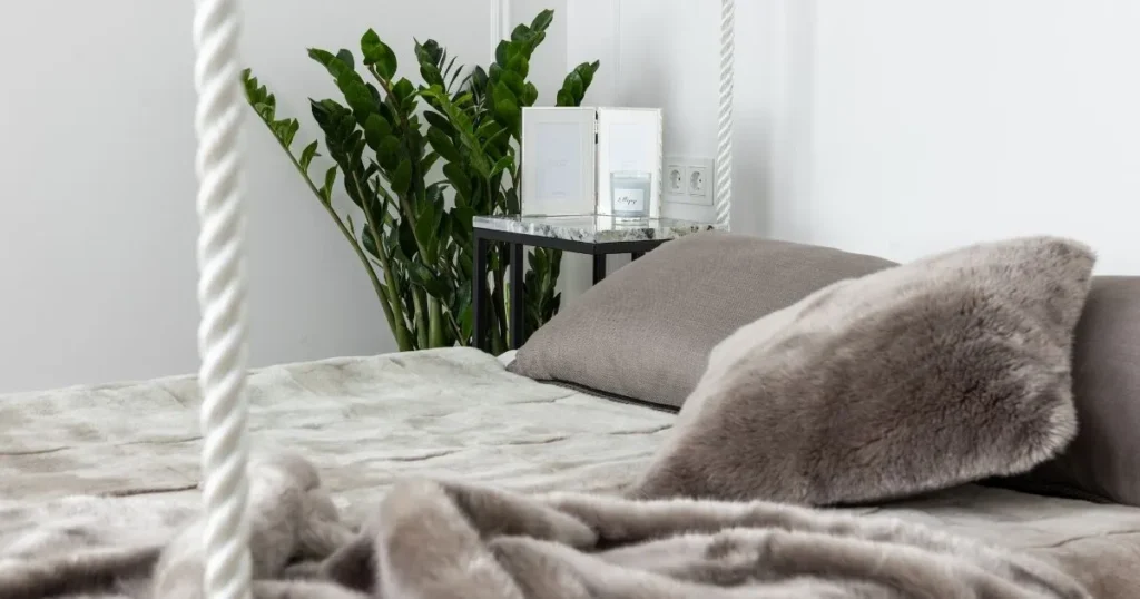 ZZ plant placed in a bedroom corner beside a bed, adding greenery to an indoor living space