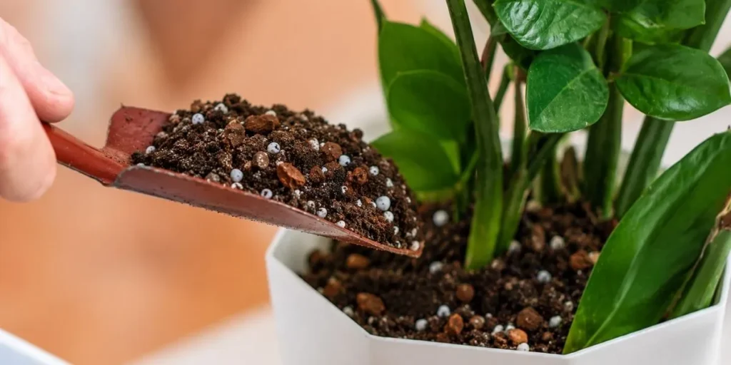 A well-draining ZZ plant soil mix with potting soil, perlite, and orchid bark before planting