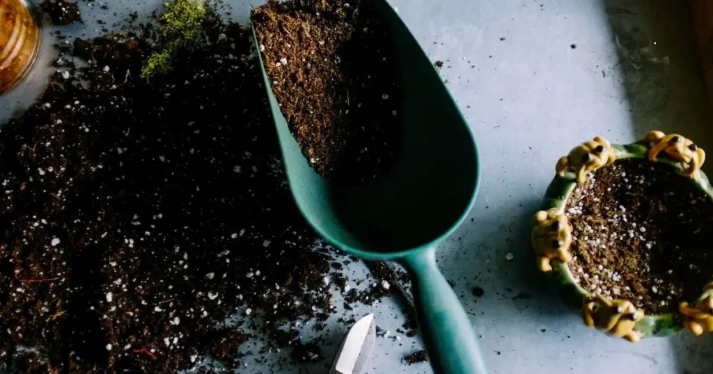 Pothos potting soil being prepared with perlite and organic materials