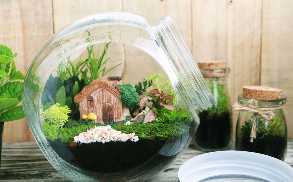 How to Make a Terrarium
