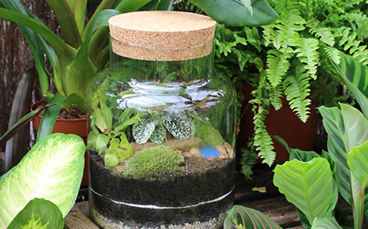 Terrarium layers