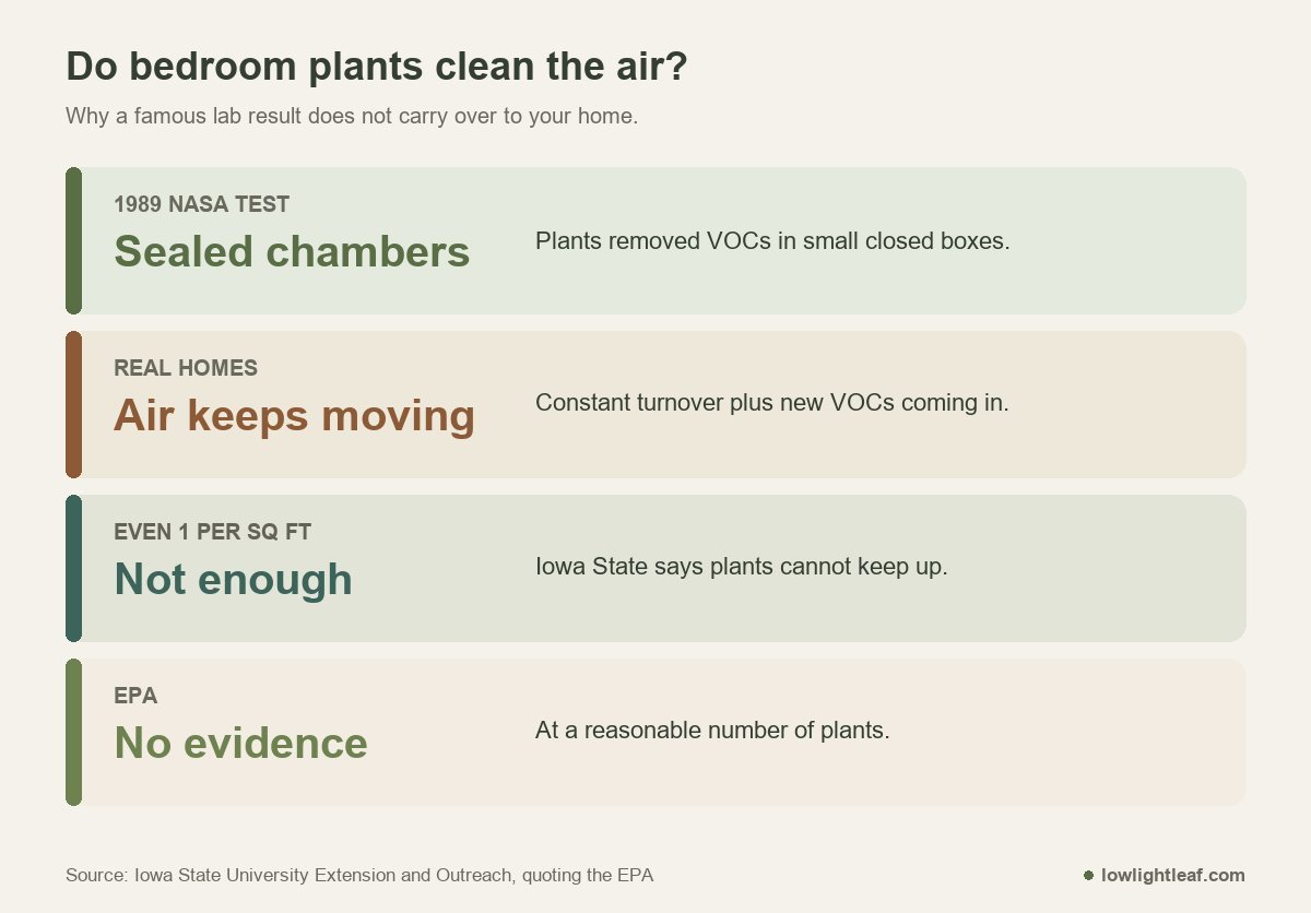 Best plants for bedroom air quality: NASA sealed-chamber test, constant air turnover in homes, even one plant per square foot not enough, EPA finds no evidence
