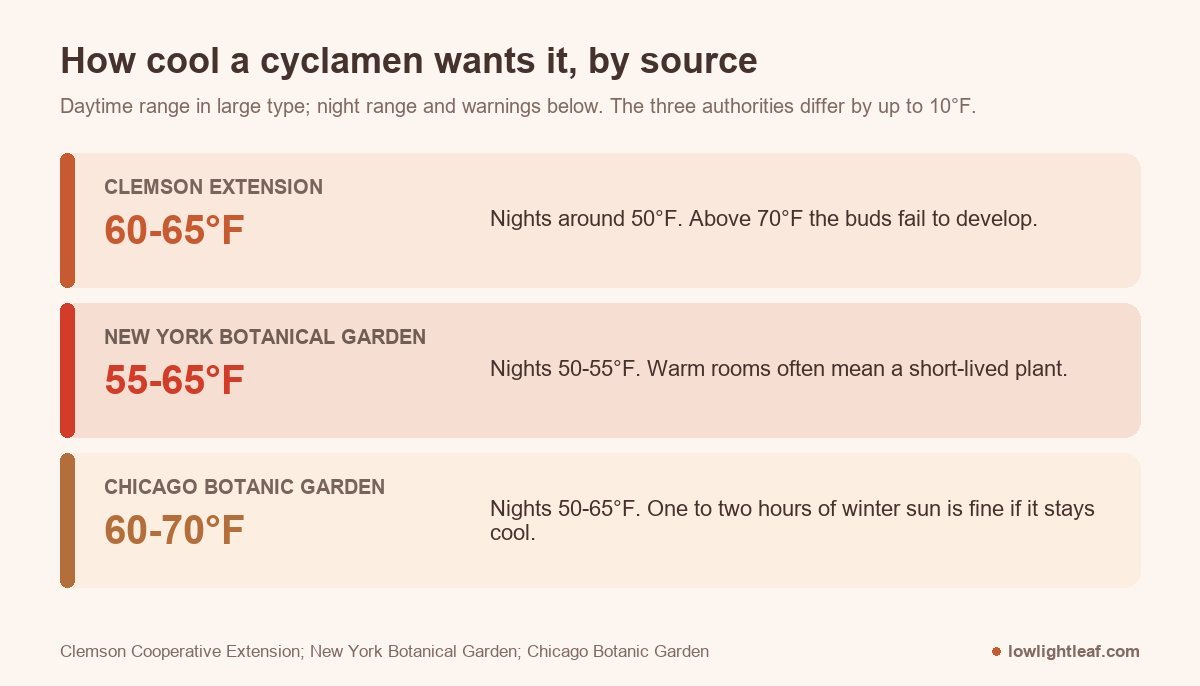 Cyclamen temperatures by source: Clemson Extension 60 to 65°F days and nights around 50°F, New York Botanical Garden 55 to 65°F days and 50 to 55°F nights, Chicago Botanic Garden 60 to 70°F days and 50 to 65°F nights