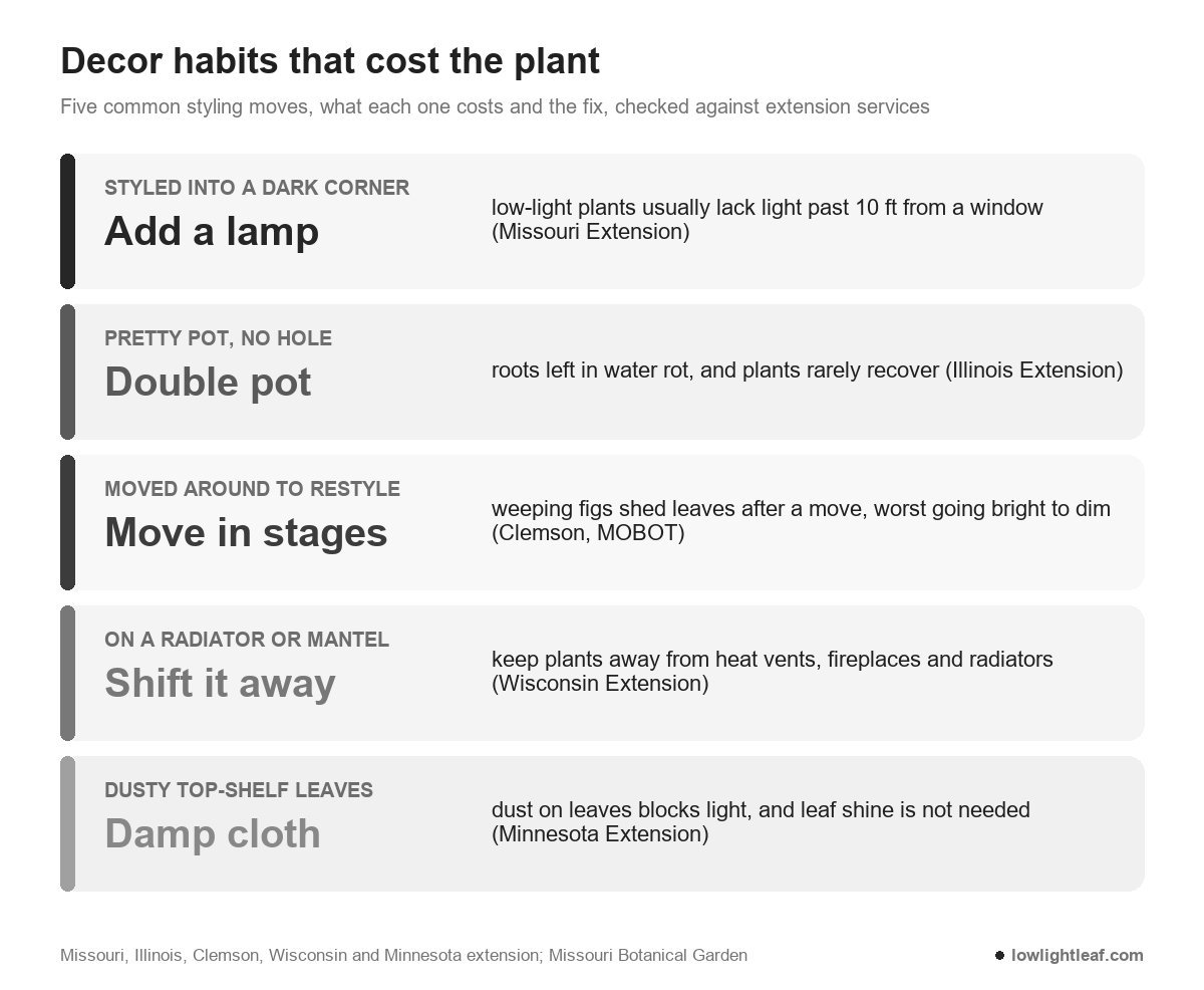 Decor habits that cost the plant: dark corner, pot with no hole, moving plants to restyle, radiator or mantel heat and dusty leaves, each with its fix