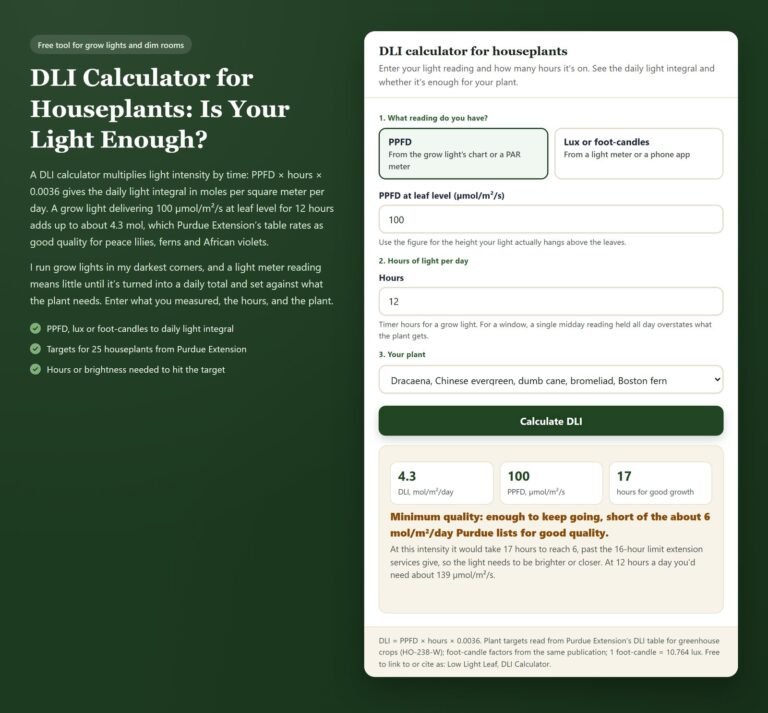 DLI calculator: 100 µmol/m²/s for 12 hours gives 4.3 mol/m²/day, enough for a peace lily