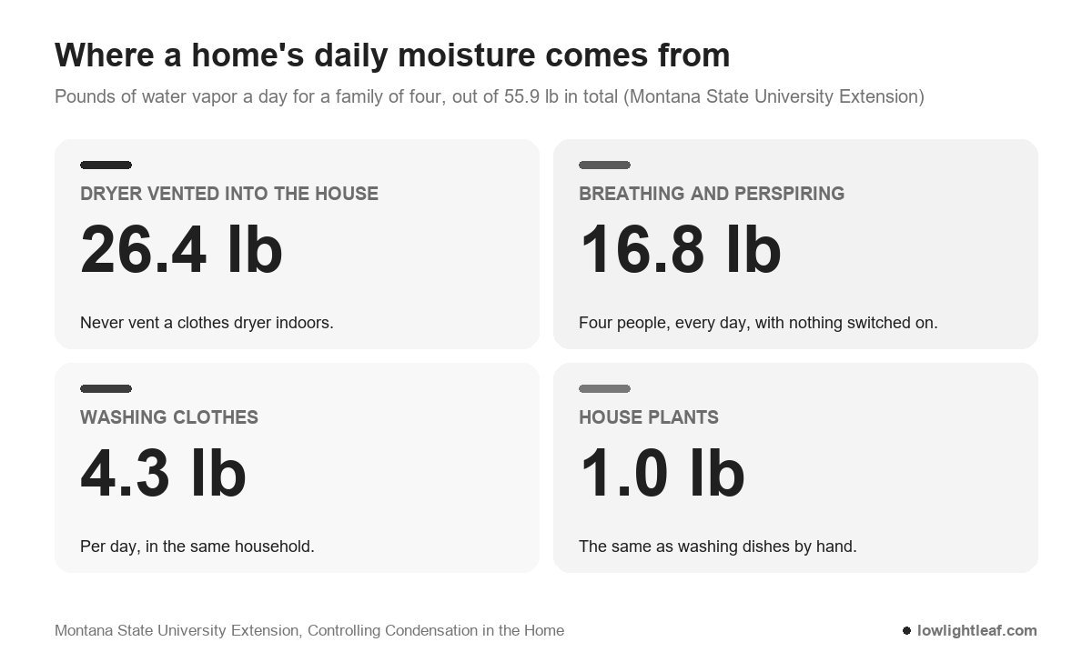Daily moisture sources for a family of four from Montana State University Extension: a clothes dryer vented into the house 26.4 pounds, breathing and perspiring 16.8 pounds, washing clothes 4.3 pounds, house plants 1.0 pound, out of 55.9 pounds in total