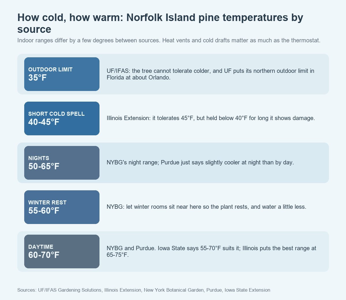 Norfolk Island pine temperature ranges by source: 35°F outdoor limit (UF IFAS), 40 to 45°F short cold spells (Illinois), 50 to 65°F nights and 55 to 60°F winter rest (NYBG), 60 to 70°F daytime (NYBG and Purdue)