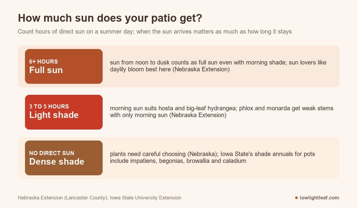 How much sun a patio gets: 6 or more hours is full sun, 3 to 5 hours is light shade, no direct sun is dense shade, with the plants that suit each