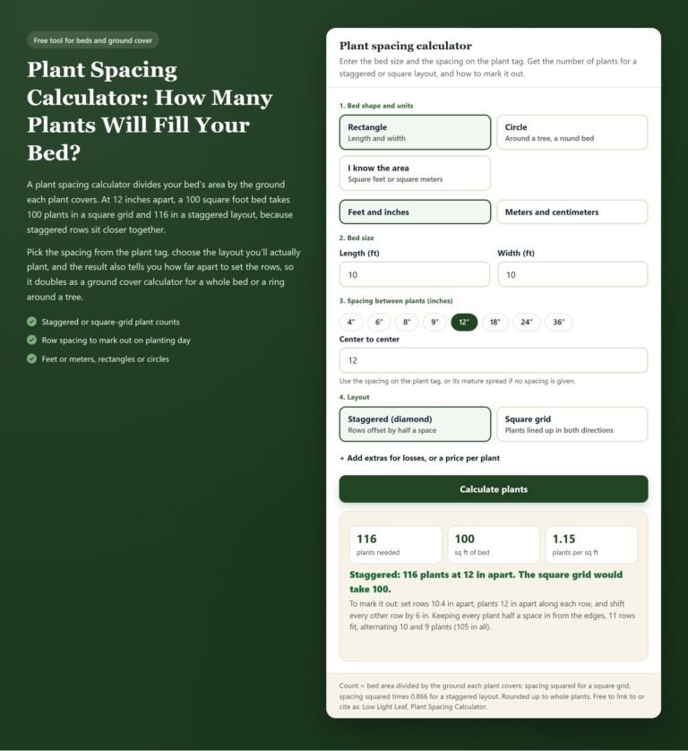 Plant spacing calculator: 116 plants staggered or 100 in a square grid for a 10 by 10 foot bed at 12 inches