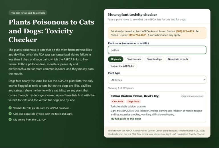Plant toxicity checker showing the ASPCA verdict for pothos: toxic to cats and dogs, with the toxin and signs