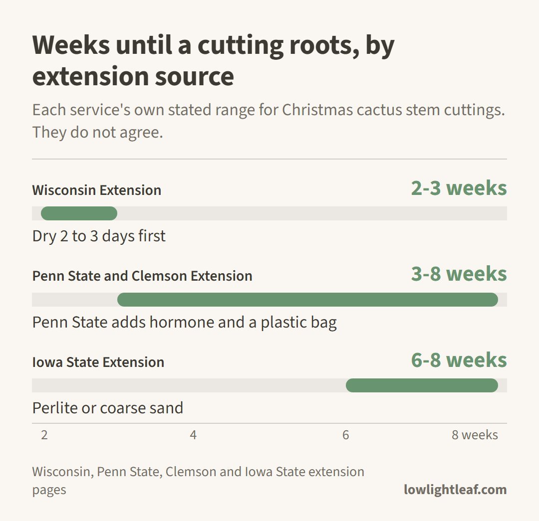 Range chart of weeks until Christmas cactus cuttings root: Wisconsin 2-3, Penn State and Clemson 3-8, Iowa State 6-8