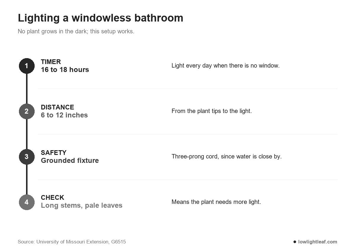 Best plants for bathroom with no windows need a lamp on a timer for 16 to 18 hours, 6 to 12 inches away, on a grounded fixture